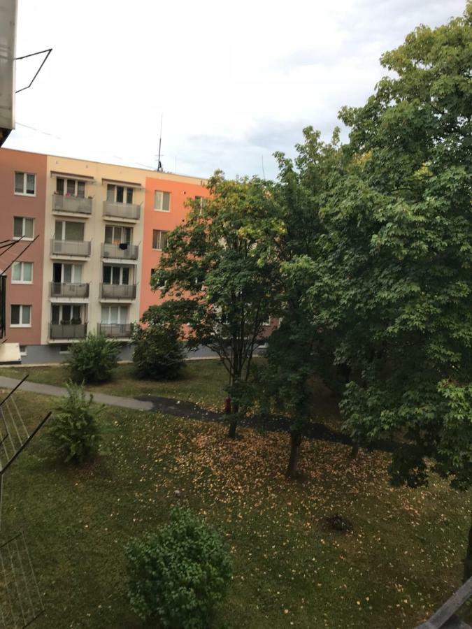 Apartment Kubo 브라노우나트토플료우 외부 사진